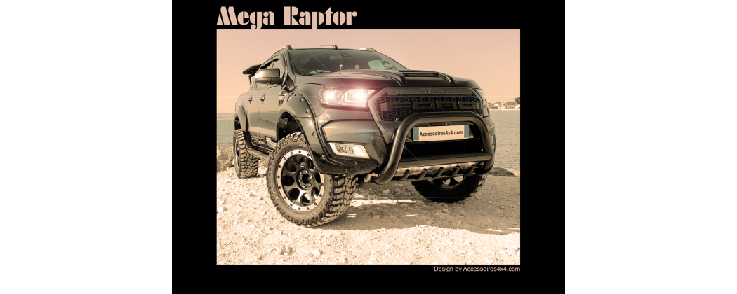 Pacchetto Raptor